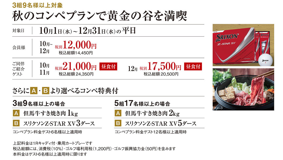 秋のコンペプラン