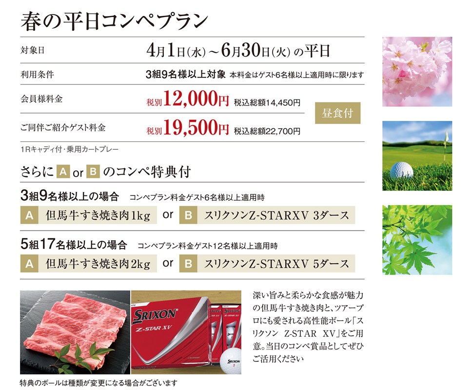 春のコンペプラン